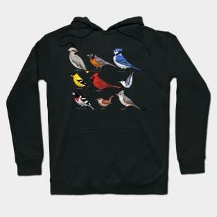 The year of the bird (North America) Hoodie